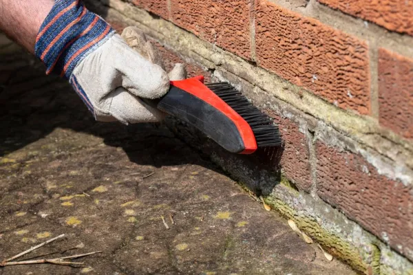 How do you Clean Bricks on a House?