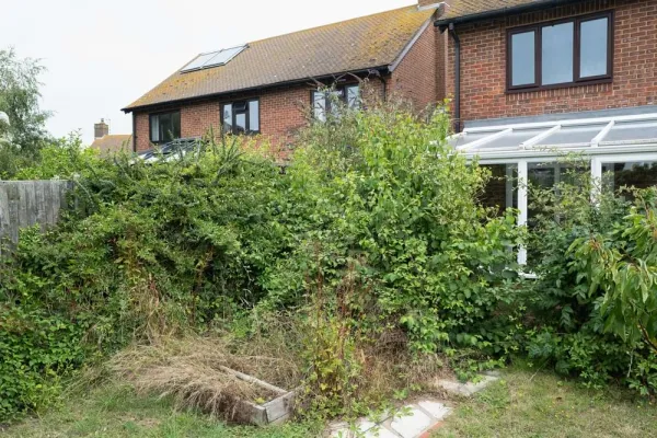 What To Do About A Neighbour’s Overgrown Garden